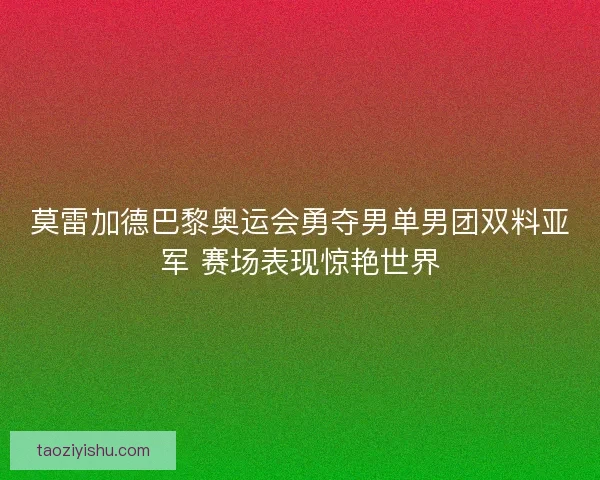 莫雷加德巴黎奥运会勇夺男单男团双料亚军 赛场表现惊艳世界