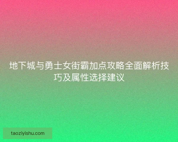地下城与勇士女街霸加点攻略全面解析技巧及属性选择建议