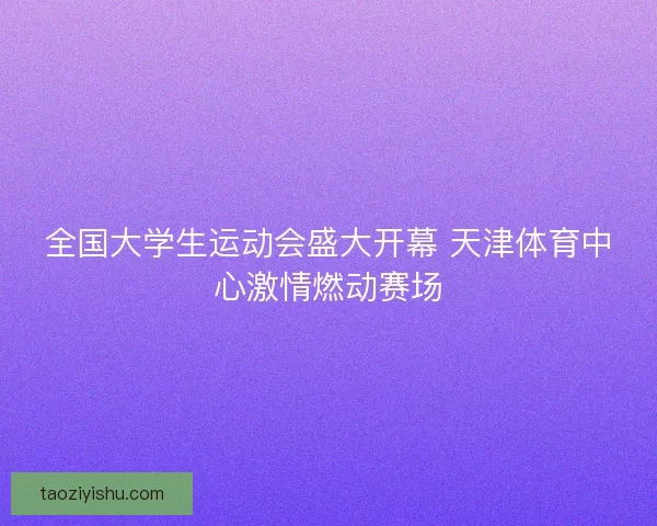全国大学生运动会盛大开幕 天津体育中心激情燃动赛场
