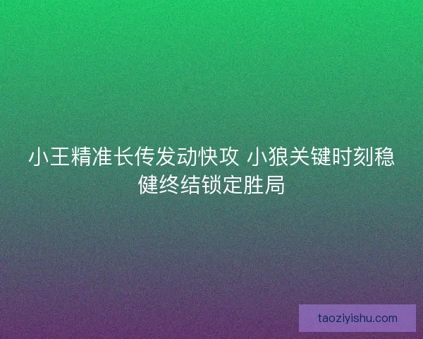 小王精准长传发动快攻 小狼关键时刻稳健终结锁定胜局