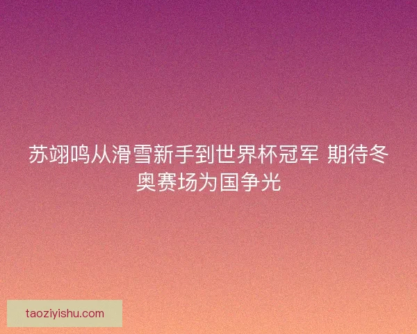 苏翊鸣从滑雪新手到世界杯冠军 期待冬奥赛场为国争光