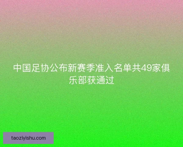 中国足协公布新赛季准入名单共49家俱乐部获通过